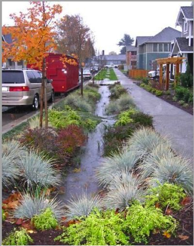 Roadside Bioswale